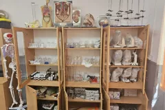 Laborator-stiinte-2