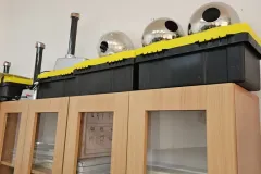 zadareni-100